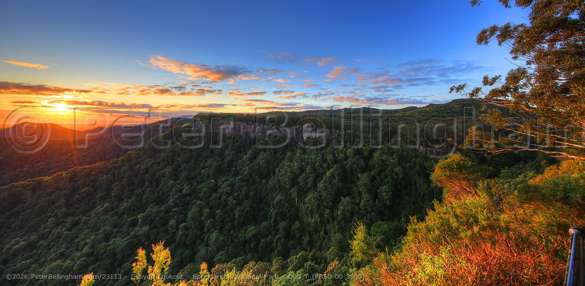 Peter Bellingham Photography Canyon Lookout - Springbrook National Park - QLD T (PB5D 00 3900)